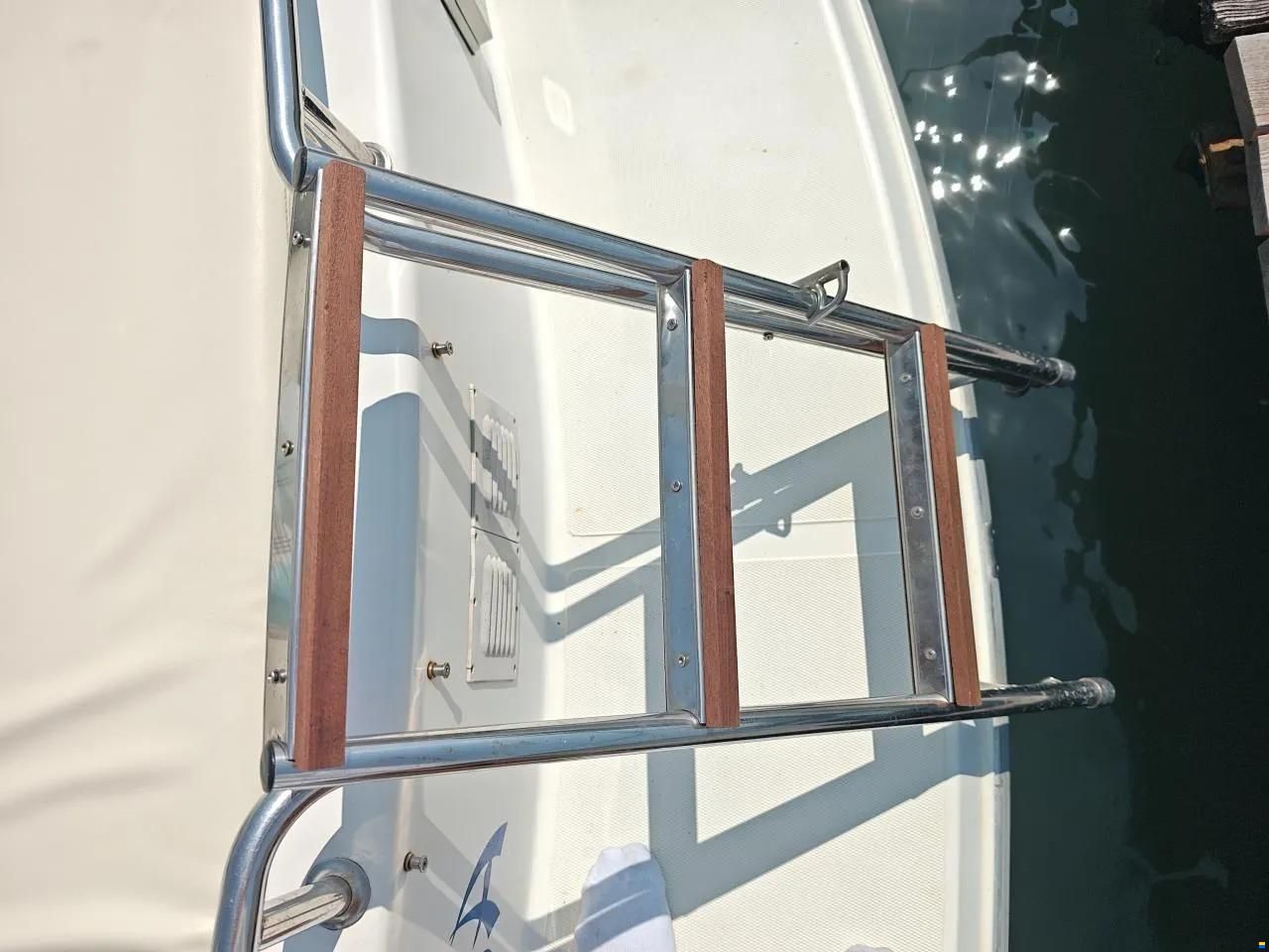 Sessa Ninja 26