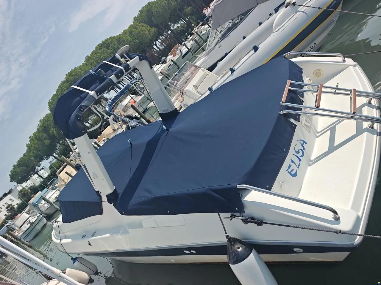Sessa Ninja 26