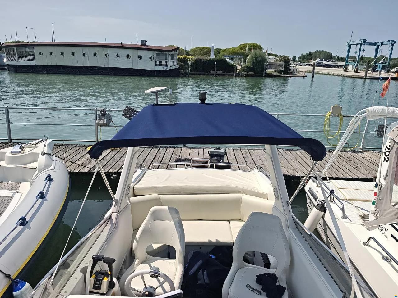 Sessa Ninja 26
