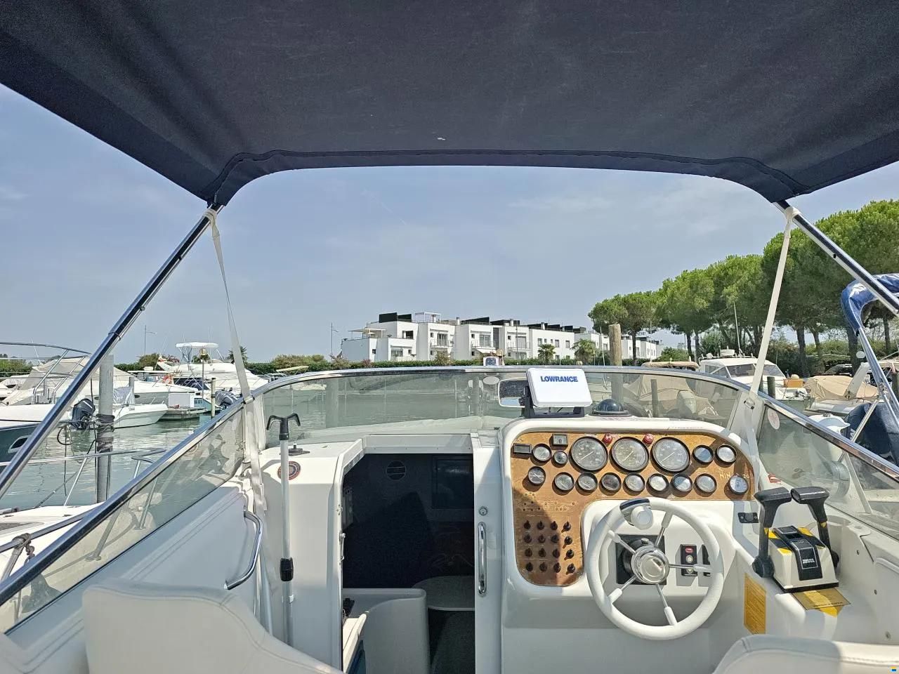 Sessa Ninja 26