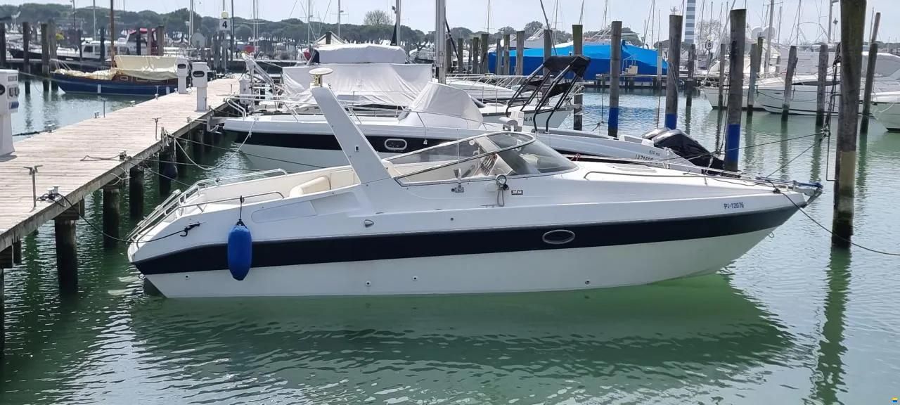 Sessa Ninja 26