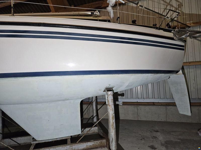 Nordship 808
