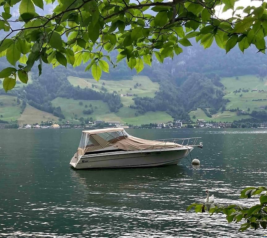 Wellcraft Monaco 3000