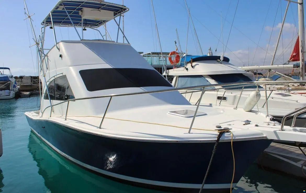 Luhrs 34 Convertible