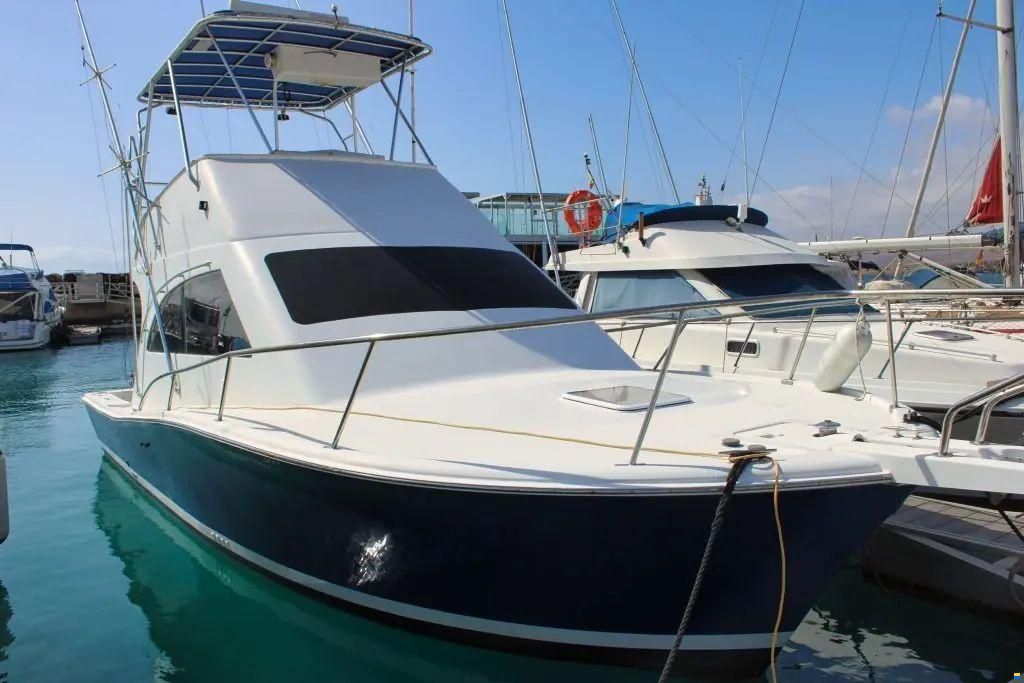 Luhrs 34 Convertible