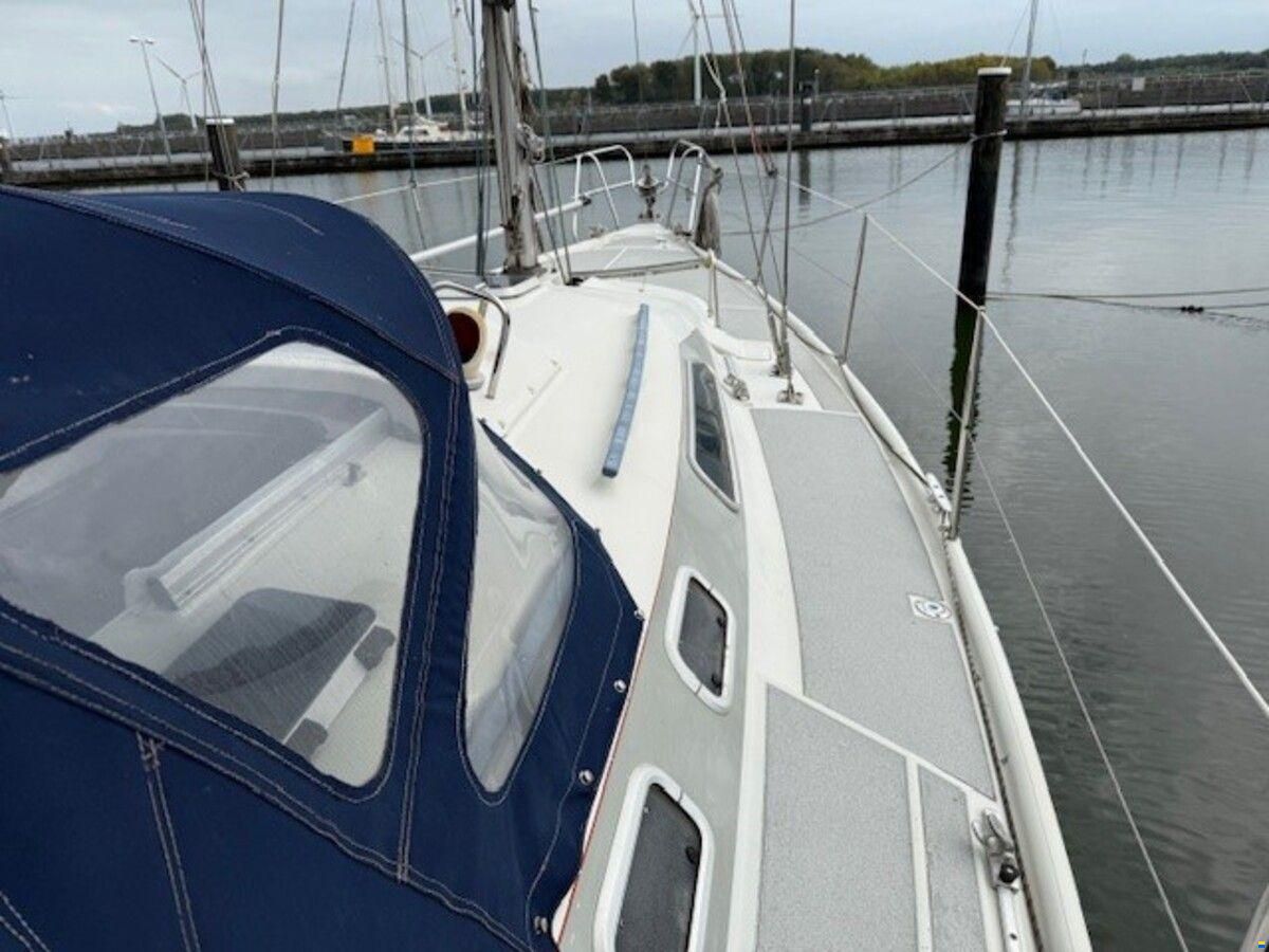 Dehler 36 cws