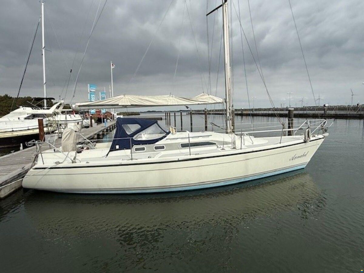 Dehler 36 cws