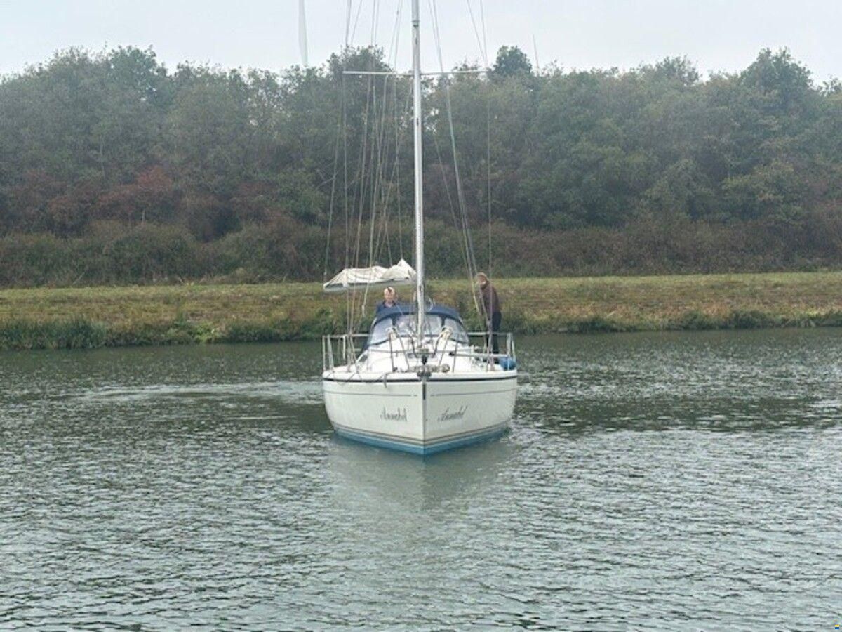 Dehler 36 cws