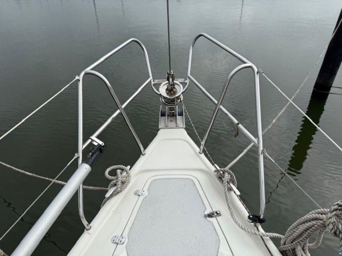 Dehler 36 cws