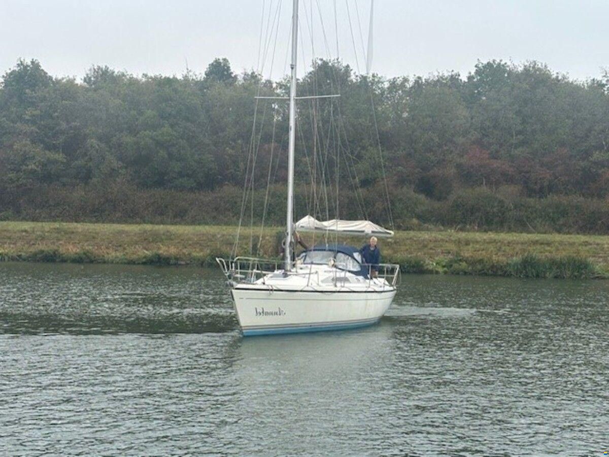 Dehler 36 cws