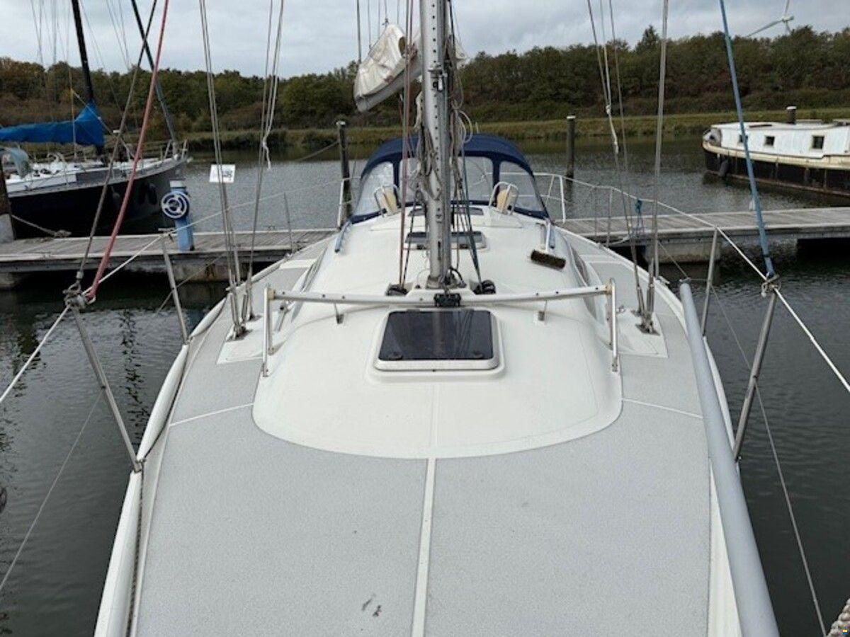 Dehler 36 cws