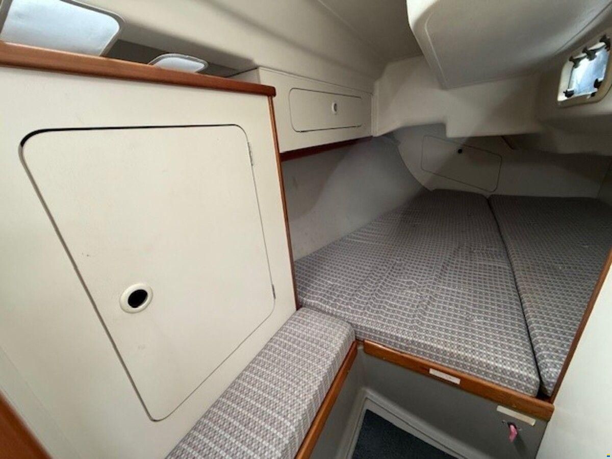 Dehler 36 cws