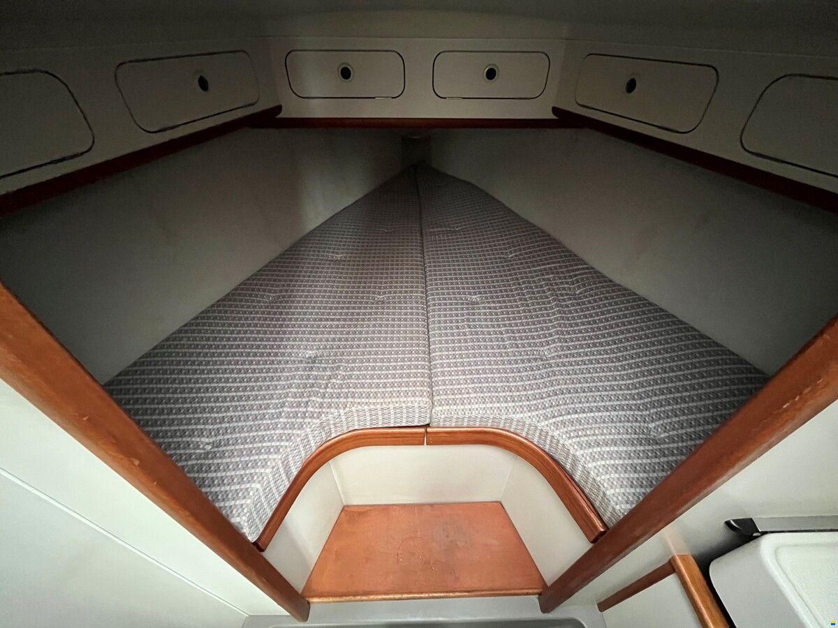 Dehler 36 cws