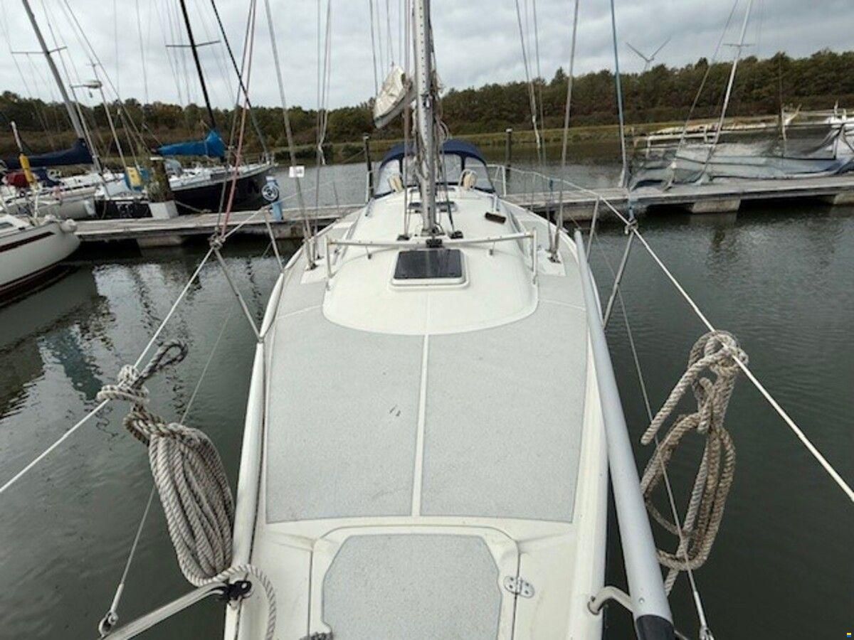 Dehler 36 cws