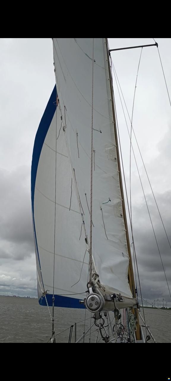 Jachtbouw Noord Nederland Seahawk 30