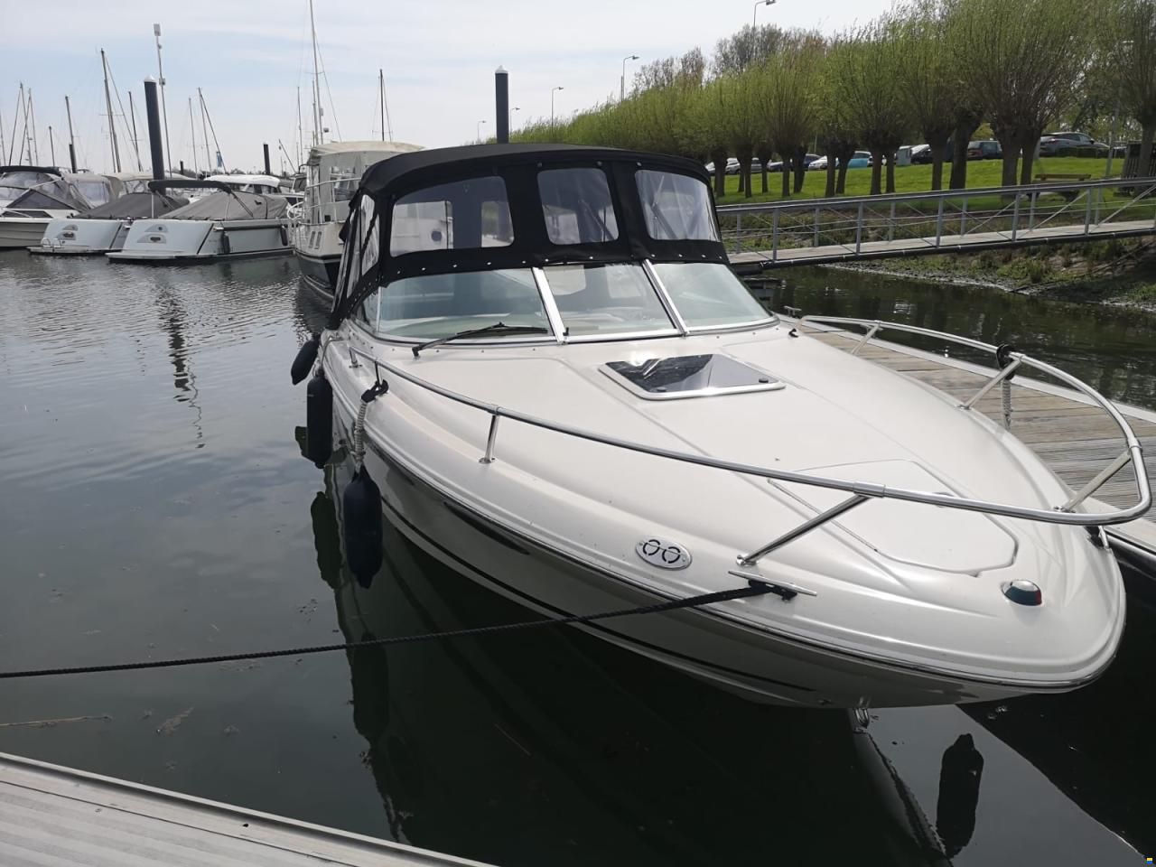 Sea Ray 230 OV signature