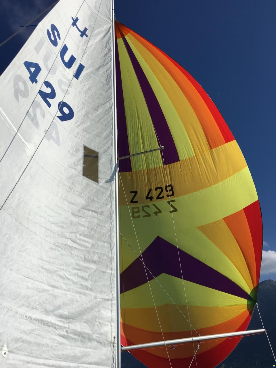 Artekno H-Boot_/)__SUI 429