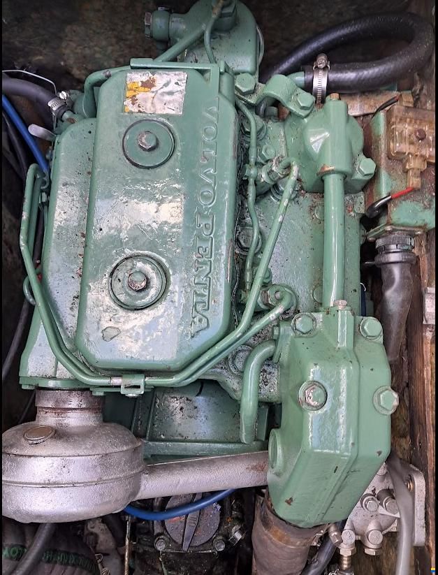 Draco Summerwind