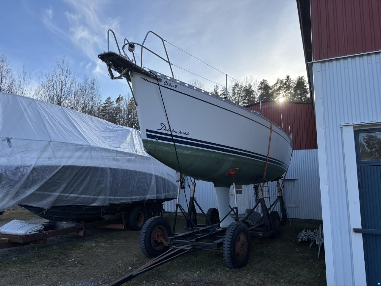 Delphia 33