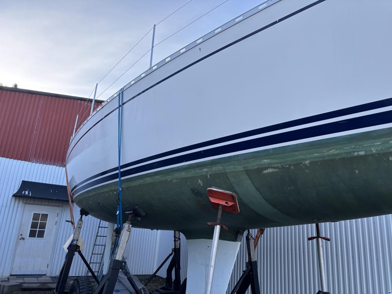 Delphia 33