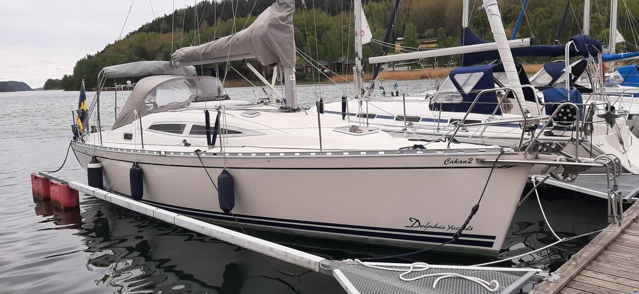 Delphia 33