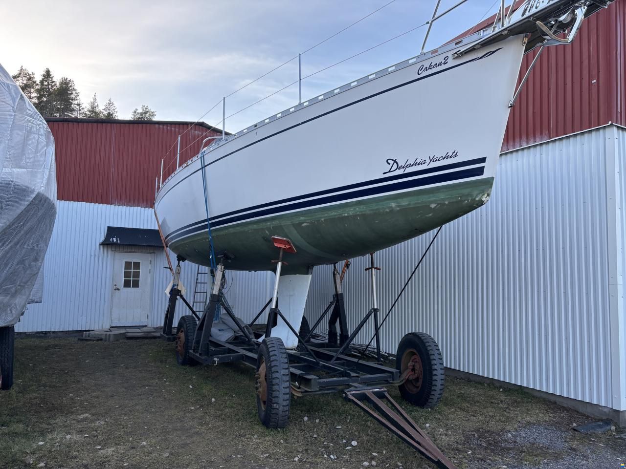 Delphia 33