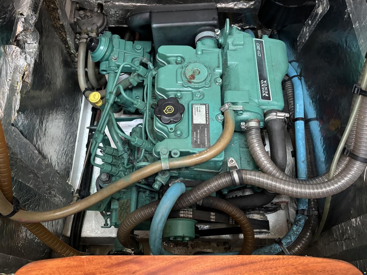 Delphia 33