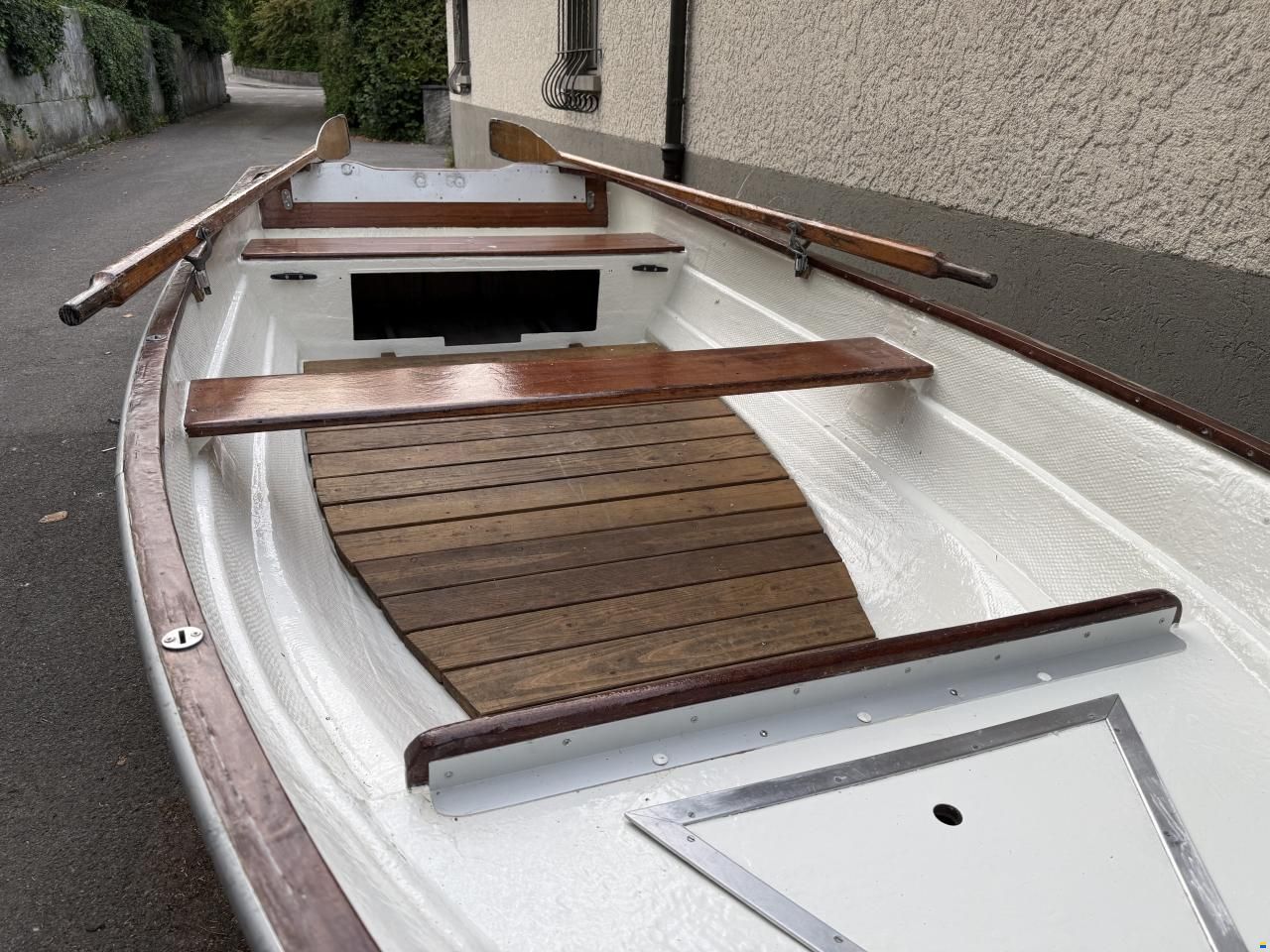 Fjord Ali 13