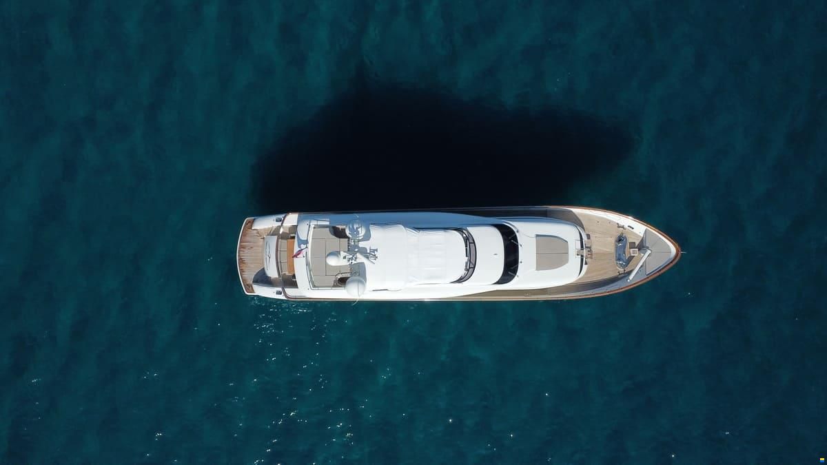 Maiora 31 DP
