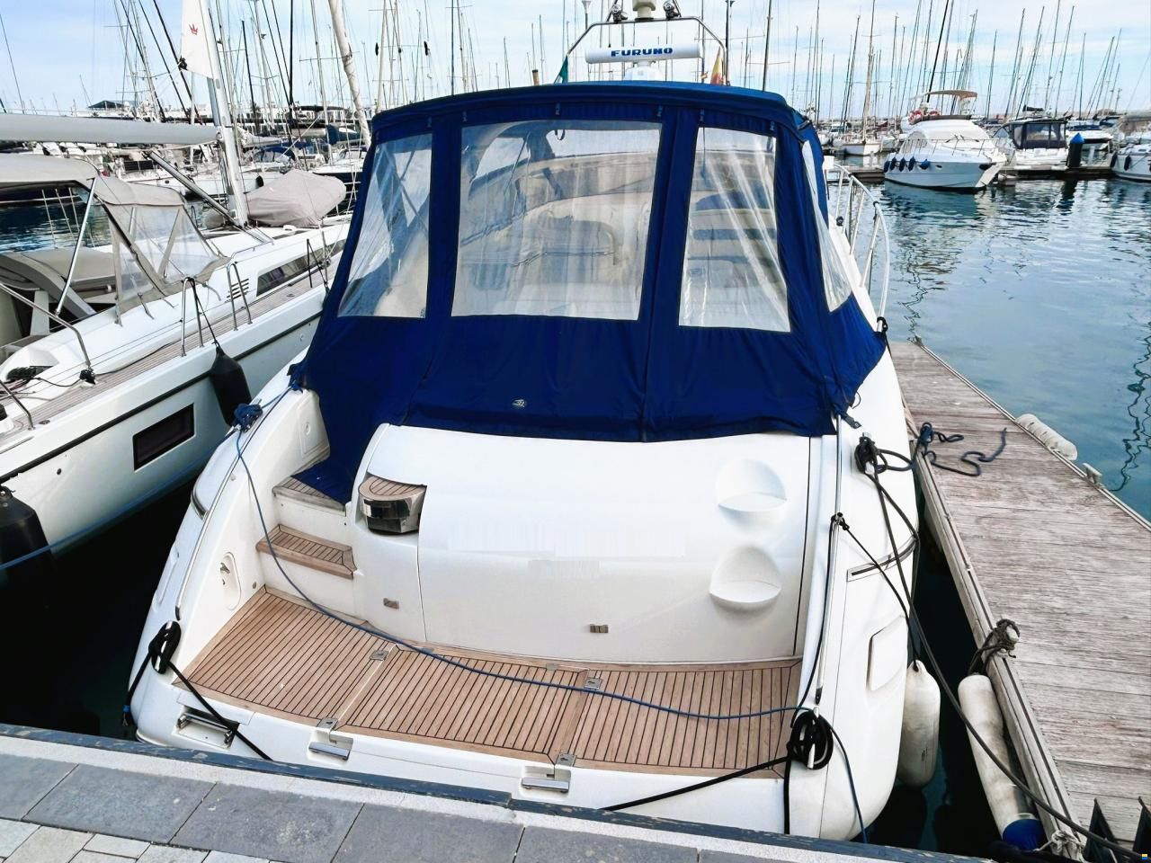 Princess V50