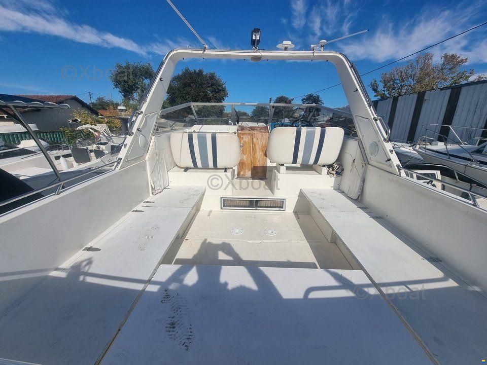 Fairline 33 TARGA