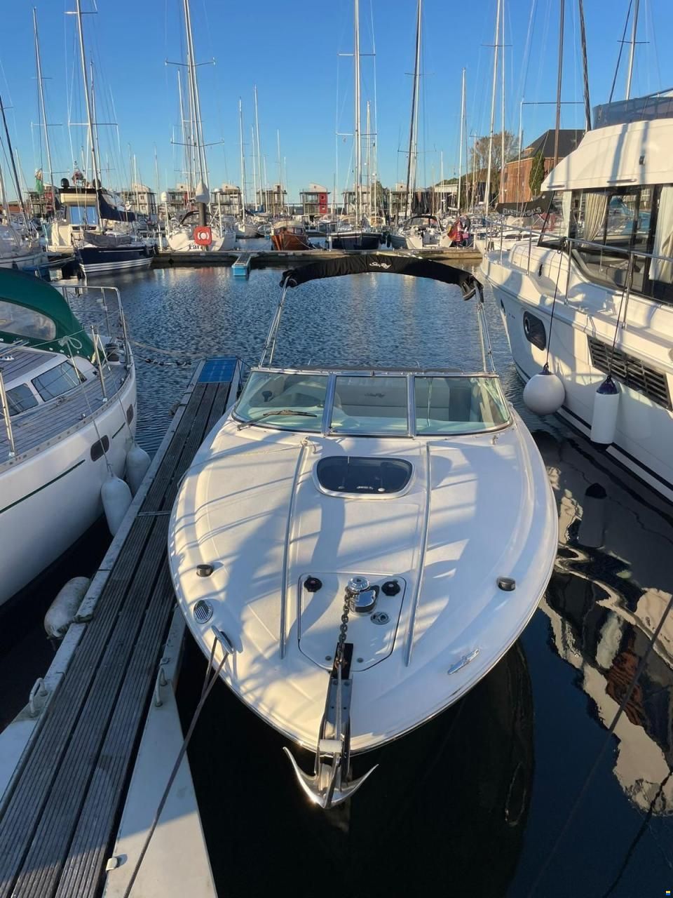 Sea Ray 240 SSE Limited Edition