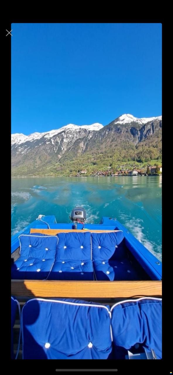 Schweizer Saphir II  1973