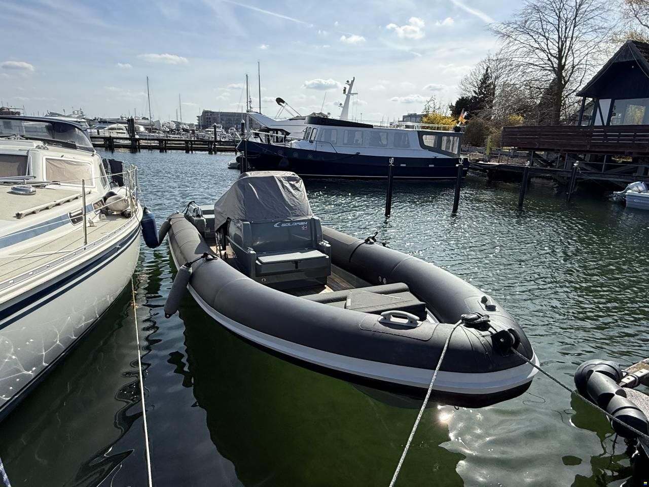Goldfish 29 Sport