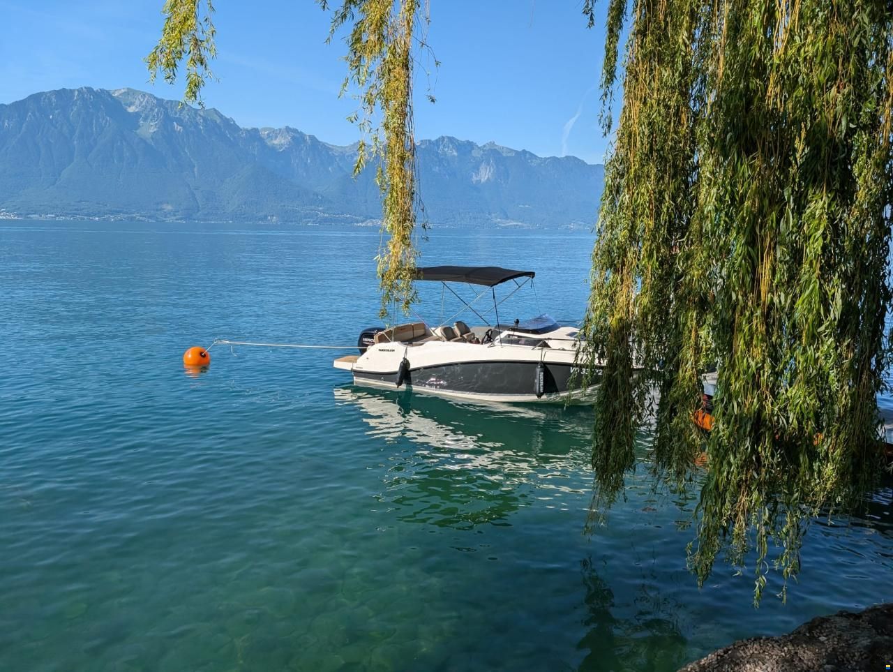 Quicksilver Activ 555 Cabin