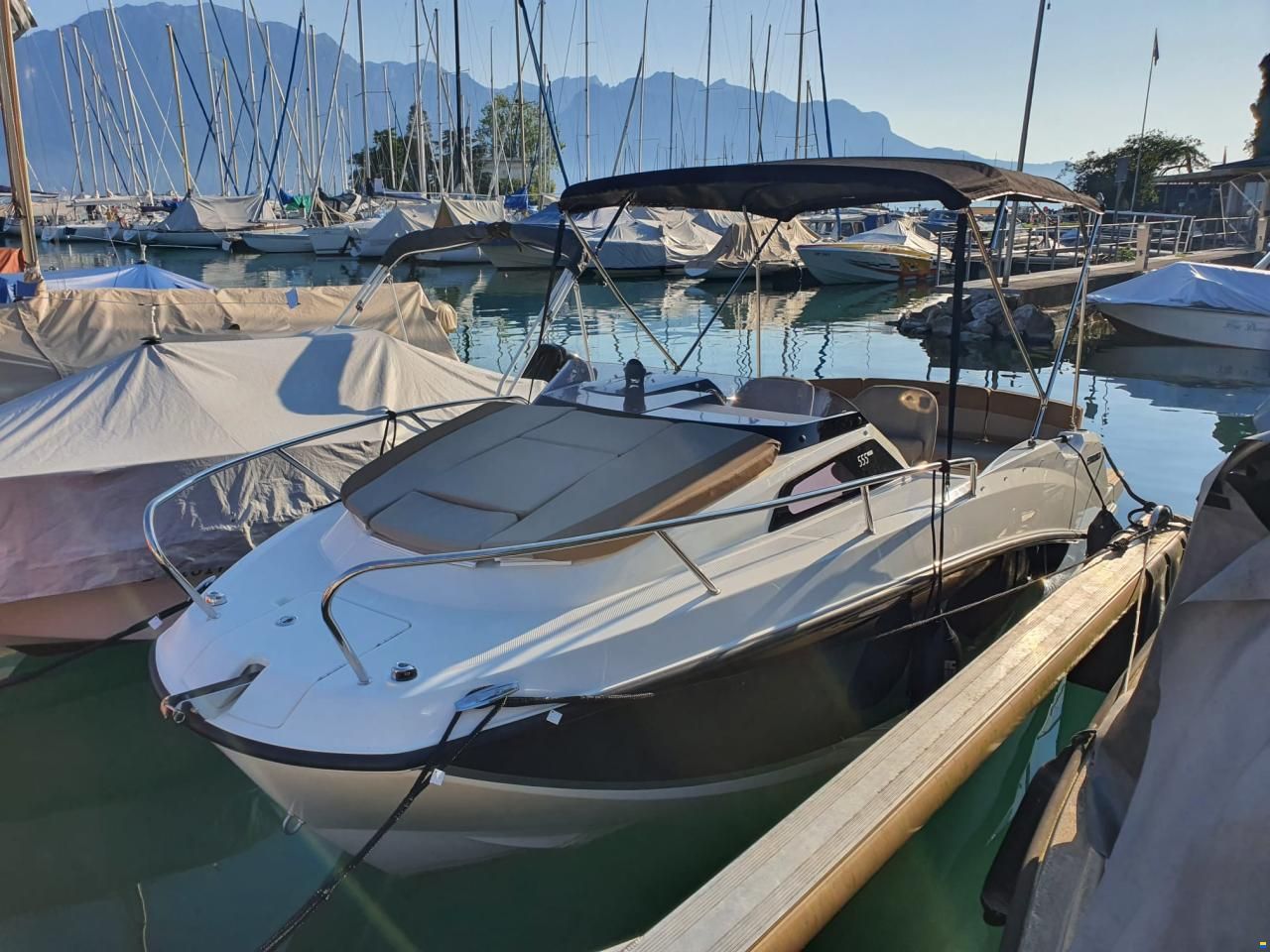 Quicksilver Activ 555 Cabin