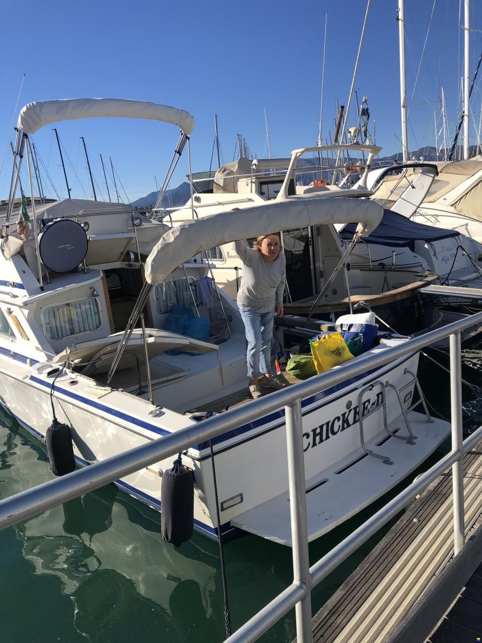Bertram 28 Fly