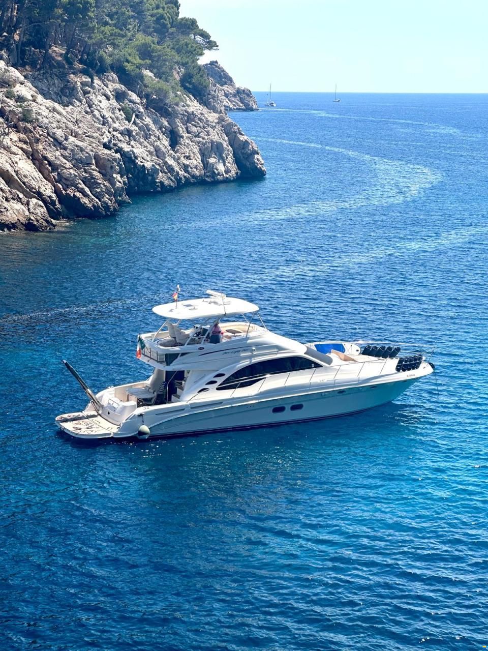 Sea Ray 58 Sedan Bridge