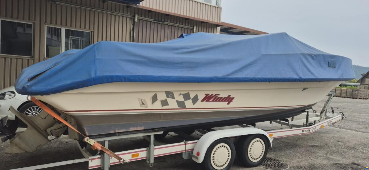 Windy 7800