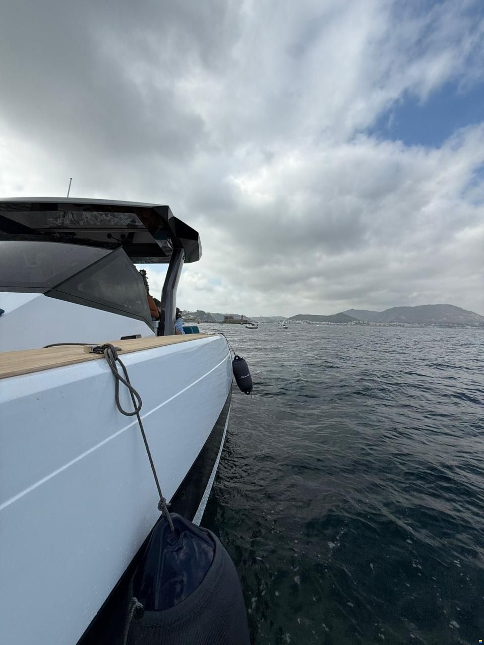 Fiart Seawalker 35 Walkaround