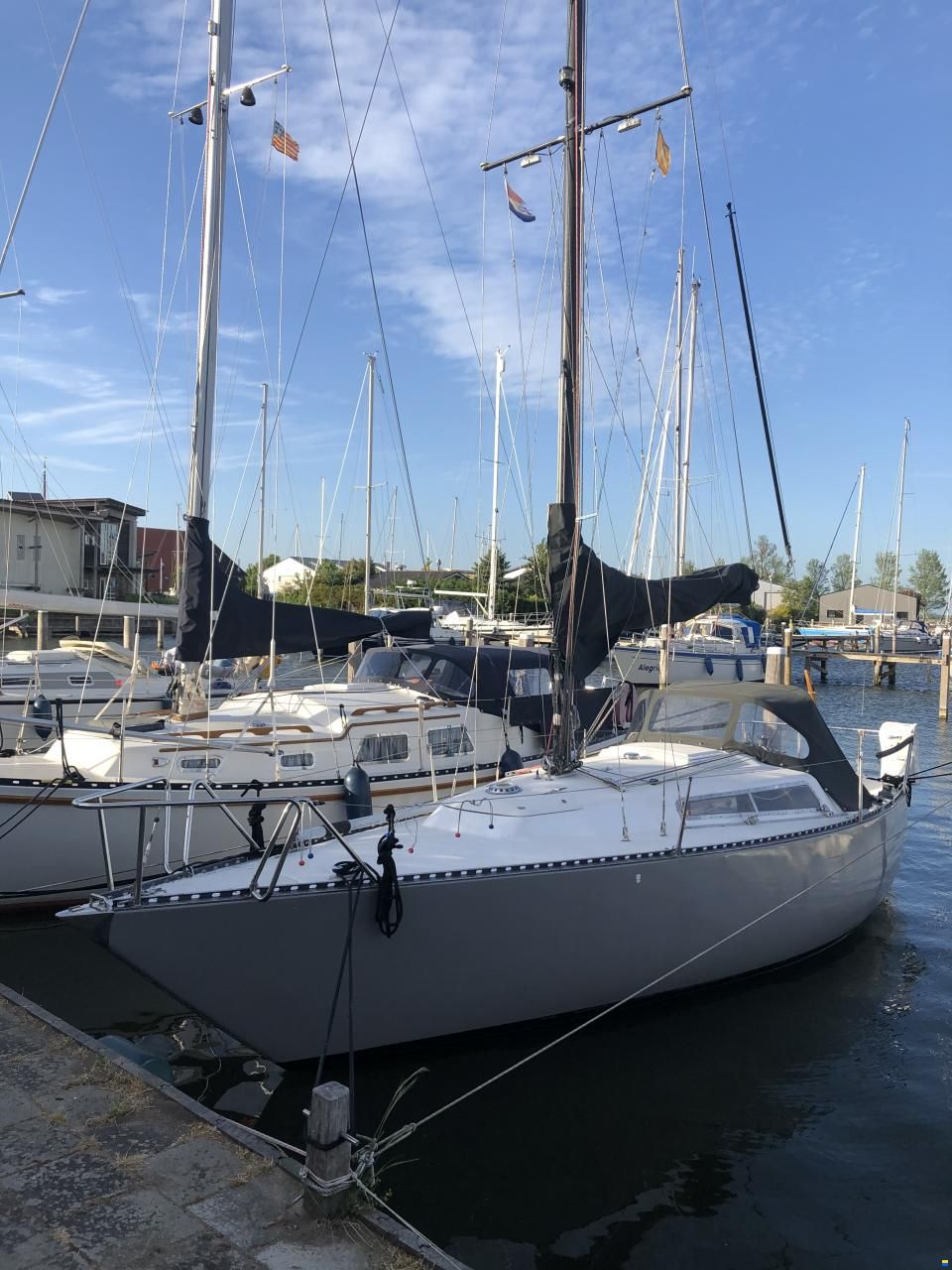 Bianca 28