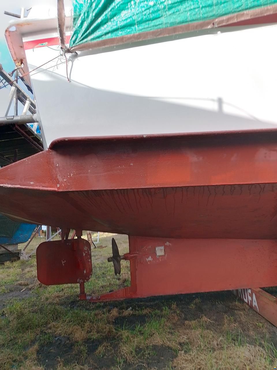 Cascaruda 980