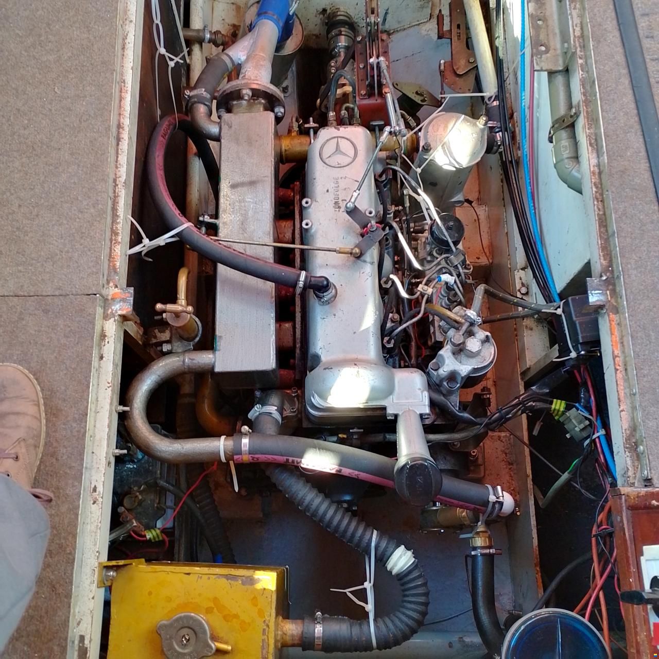 Cascaruda 980