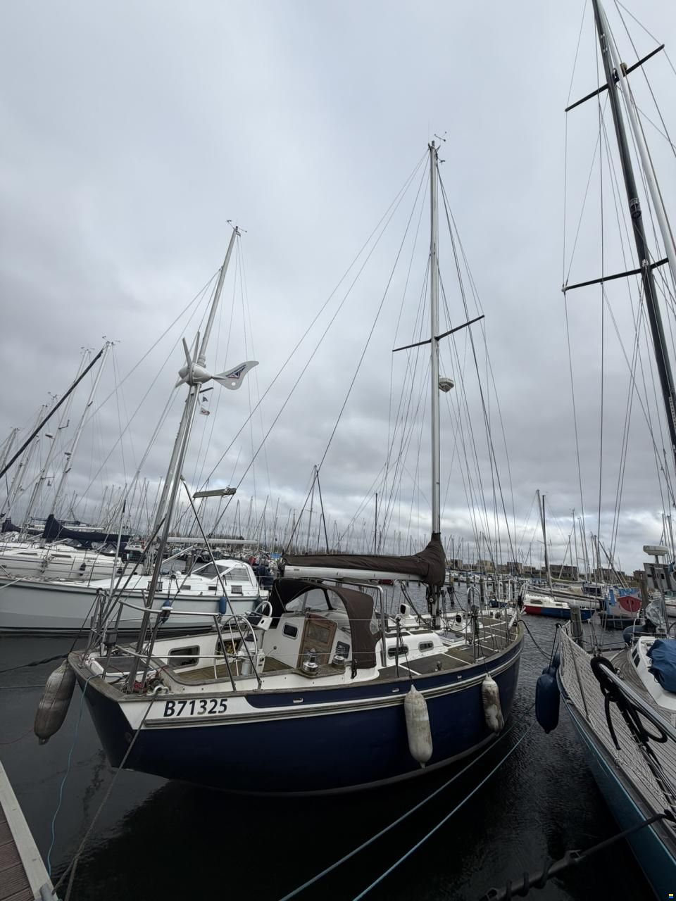 Tradewind 35