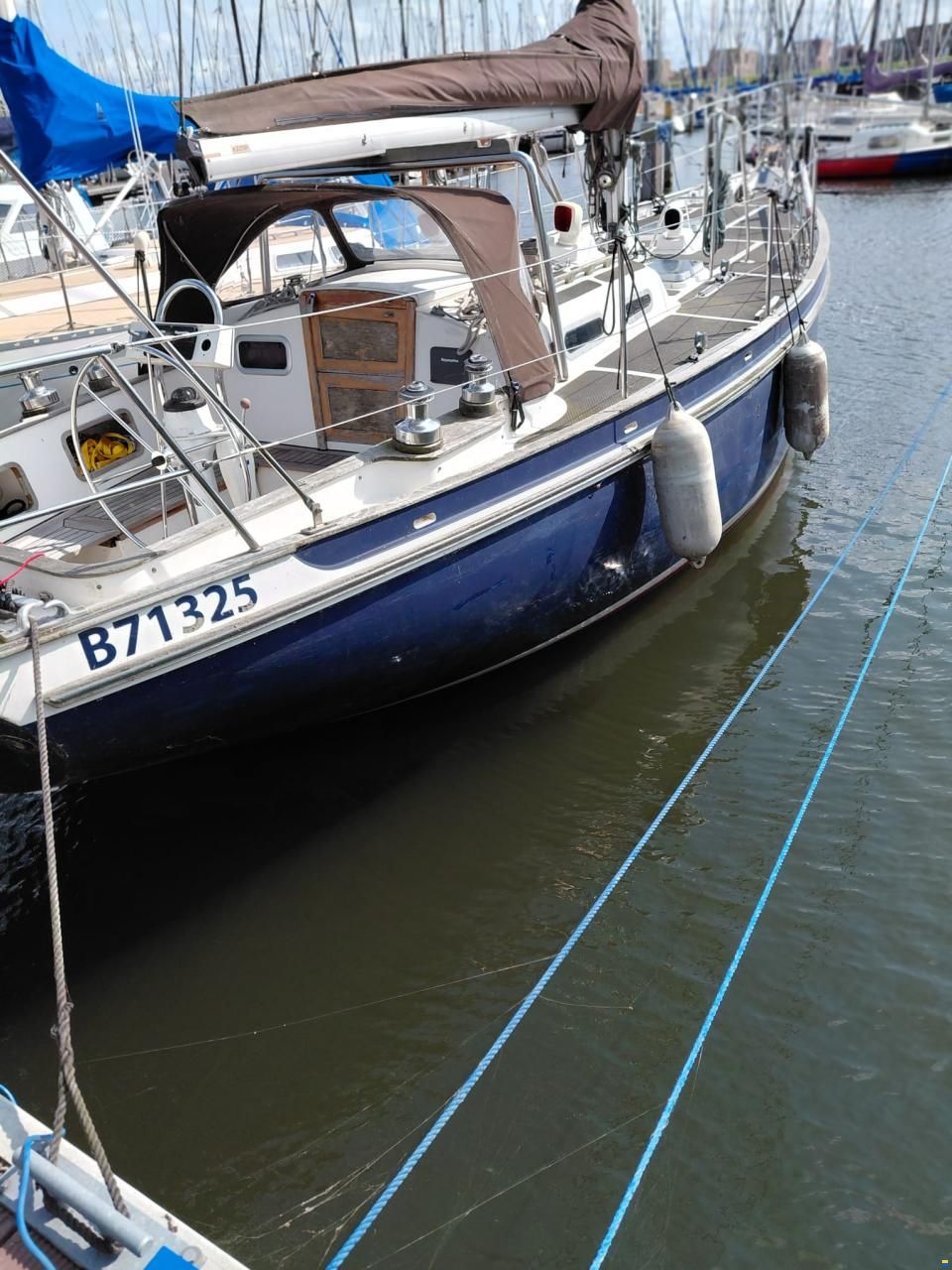 Tradewind 35
