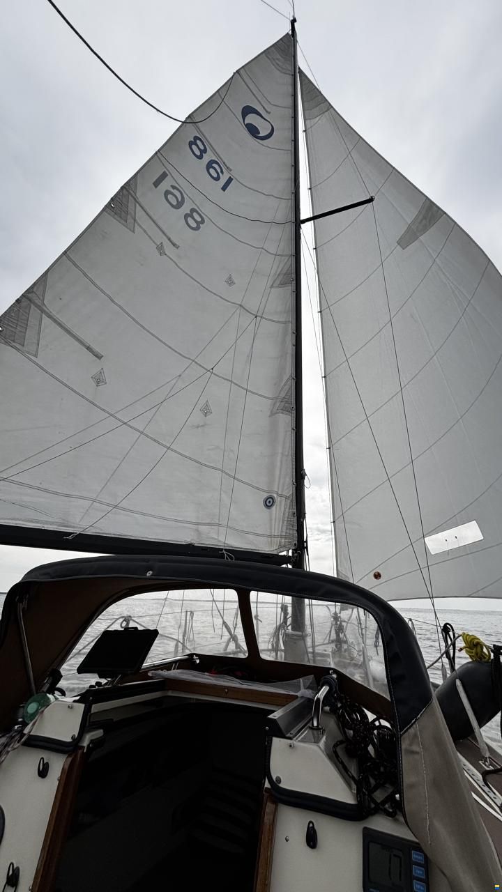 Bavaria 770