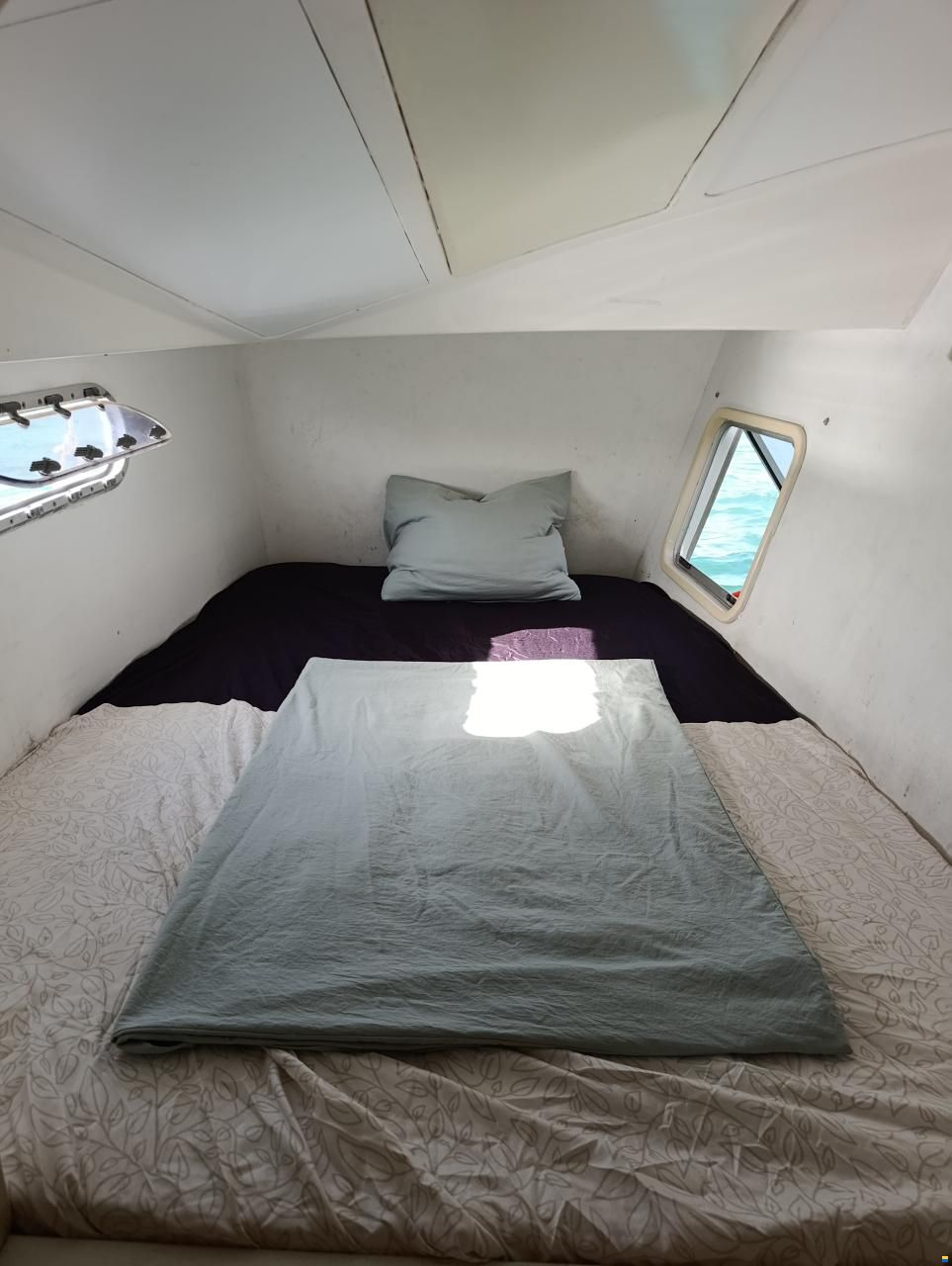 Catana 381