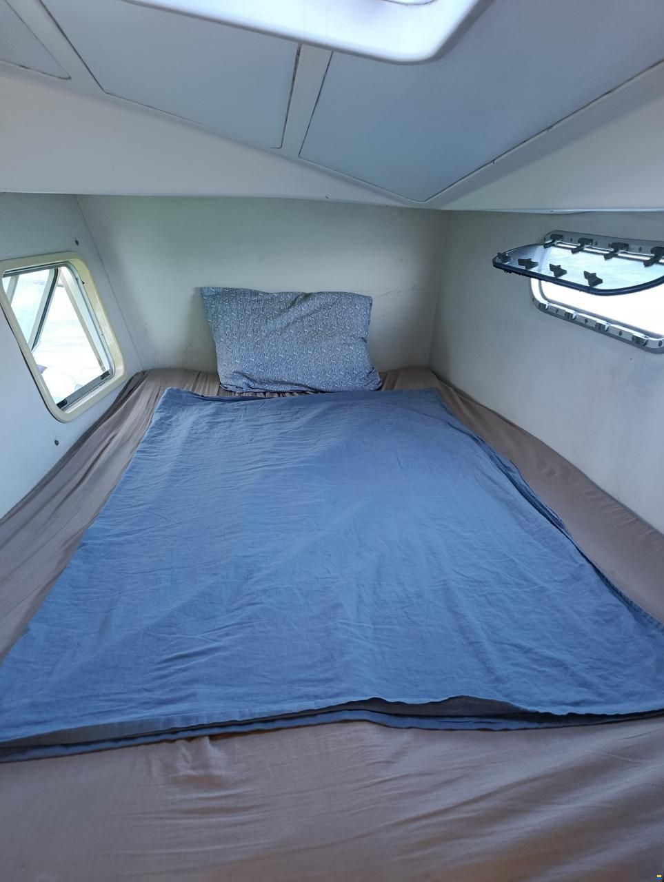 Catana 381