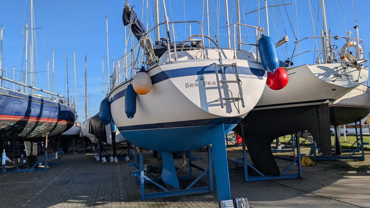 Friendship 35