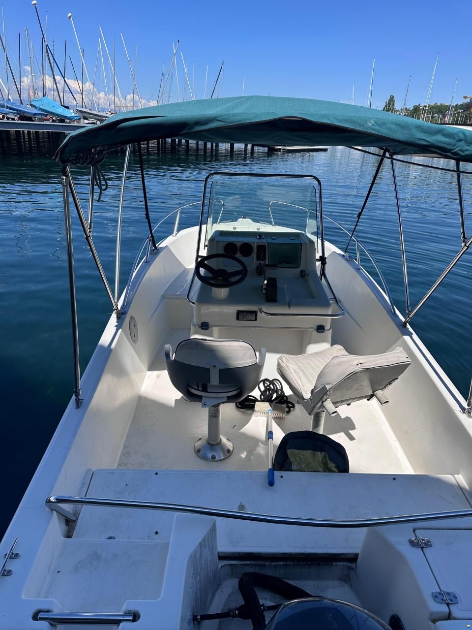 White Shark Kelt WhiteShark 175